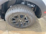 New 2025 Ford Bronco Sport Badlands image 5