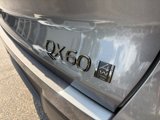 New 2026 INFINITI QX60 Autograph w/ Dark Cargo Package image 4
