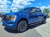 Certified 2023 Ford F150 XLT w/ Equipment Group 302A High image 3