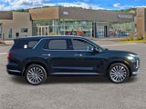 New 2025 Hyundai Palisade Calligraphy image 2