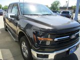 New 2024 Ford F150 XLT w/ Equipment Group 302A MID image 4