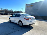 Used 2019 Toyota Corolla LE image 5