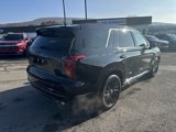 New 2025 Hyundai Palisade Calligraphy image 3