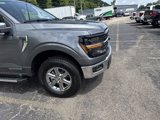 New 2025 Ford F150 XLT w/ Equipment Group 302A MID image 4