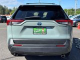 Used 2020 Toyota RAV4 XLE image 6