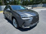 New 2026 Lexus NX 350h AWD w/ Premium Package image 4
