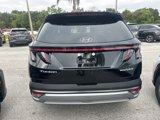 New 2025 Hyundai Palisade Calligraphy image 4