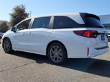 New 2025 Honda Odyssey Touring image 3