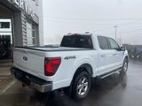 New 2025 Ford F150 XLT w/ Equipment Group 302A MID image 3