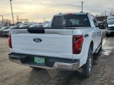 New 2025 Ford F150 XLT w/ Equipment Group 301A Standard image 5