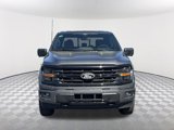 New 2025 Ford F150 XLT w/ Equipment Group 303A High image 2