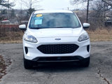 Used 2020 Ford Escape SE image 2