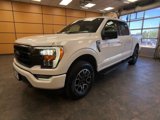 Certified 2023 Ford F150 XLT w/ Equipment Group 302A High image 3
