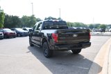 New 2025 Ford F150 XLT image 4