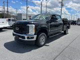 New 2025 Ford F250 XL image 2