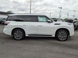 New 2025 INFINITI QX80 Luxe image 2