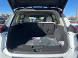 New 2025 Nissan Rogue SL w/ Tech Package image 6