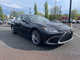 New 2025 Lexus ES 300h w/ Luxury Package image 3
