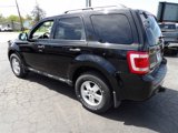 Used 2012 Ford Escape XLT image 5