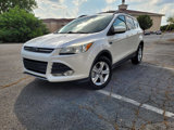 Used 2014 Ford Escape SE w/ Equipment Group 201A image 3