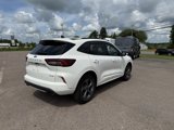 Used 2024 Ford Escape ST-Line w/ Tech Pack #1 image 6