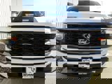 New 2025 Ford F150 STX w/ Equipment Group 200A image 2