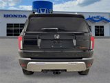 New 2026 Honda Passport TrailSport Elite image 4