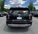 New 2025 Hyundai Palisade Calligraphy image 6
