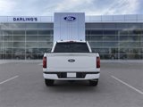 New 2025 Ford F150 XLT image 5