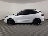 Used 2025 Ford Escape ST-Line Elite w/ Premium Technology Package image 5