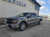 New 2025 Ford F150 XLT w/ Equipment Group 302A MID image 2
