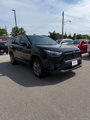 Used 2024 Toyota RAV4 XLE image 2