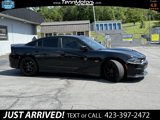 Used 2019 Dodge Charger Scat Pack w/ Dynamics Package image 5