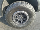 New 2025 Ford F150 Raptor image 5