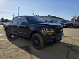 New 2025 Ford F150 STX w/ STX Black Appearance Package image 4