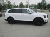 Used 2024 Kia Telluride SX Prestige X-Pro image 3