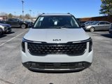 New 2025 Kia Carnival SX Prestige image 3