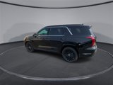New 2025 Hyundai Palisade Calligraphy image 6