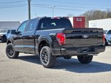 New 2025 Ford F150 STX image 5
