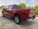New 2025 Ford F150 XLT w/ Equipment Group 302A MID image 5