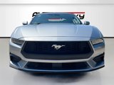 Used 2024 Ford Mustang Premium image 2