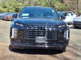 New 2025 Hyundai Palisade Calligraphy image 2