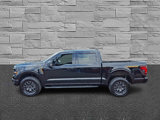 Certified 2025 Ford F150 Tremor w/ Bed Utility Package image 6
