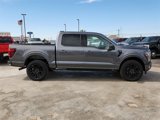 New 2025 Ford F150 Platinum image 5