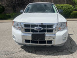 Used 2010 Ford Escape XLT image 3