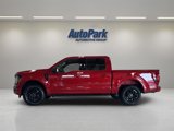 New 2025 Ford F150 XLT w/ Equipment Group 302A MID image 4
