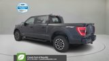 Certified 2023 Ford F150 XLT w/ Equipment Group 302A High image 5