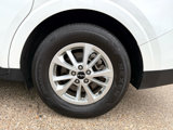 Used 2024 Kia Carnival LX image 6
