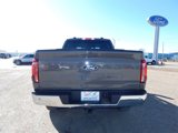 New 2025 Ford F150 Lariat w/ Equipment Group 501A Mid image 4