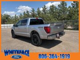 New 2025 Ford F150 Platinum image 4